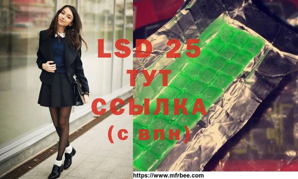 винт Новозыбков