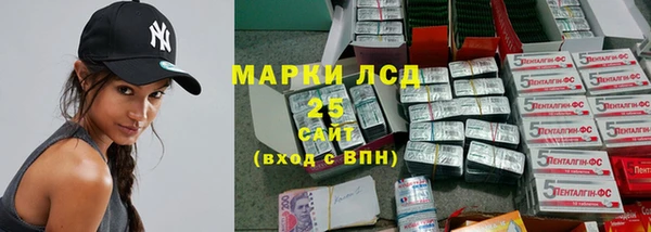 соль ск Новодвинск