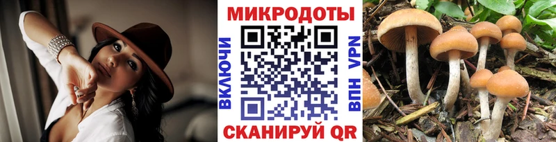 Купить  Ялта  Псилоцибиновые грибы GOLDEN TEACHER 